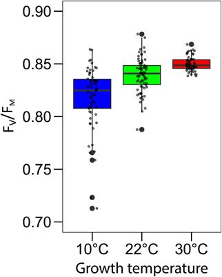 Growth Temperature Influence on Lipids and Photosynthesis in Lepidium sativum